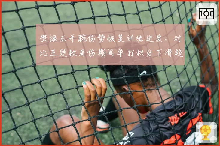 樊振东手腕伤势恢复训练进度，对比王楚钦肩伤期间单打积分下滑趋势