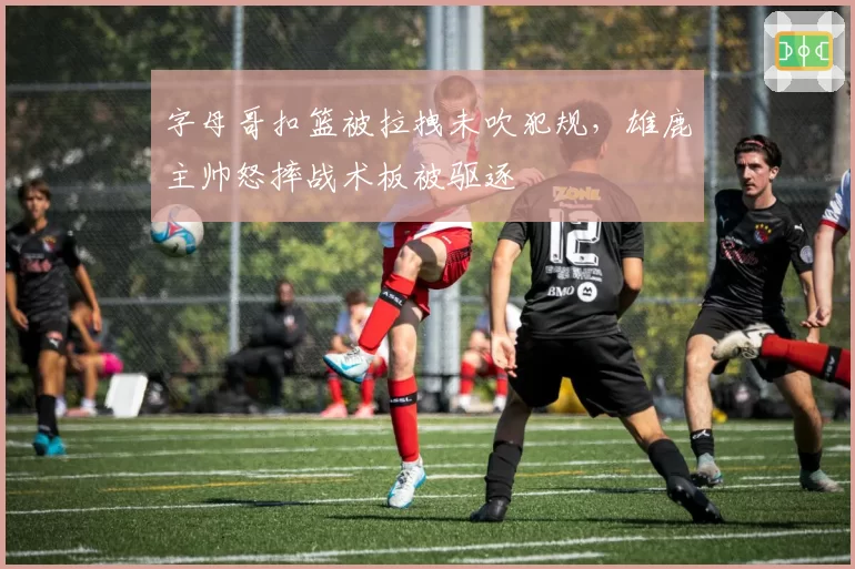 字母哥扣篮被拉拽未吹犯规,雄鹿主帅怒摔战术板被驱逐